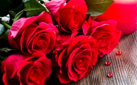 Beautiful Nature image