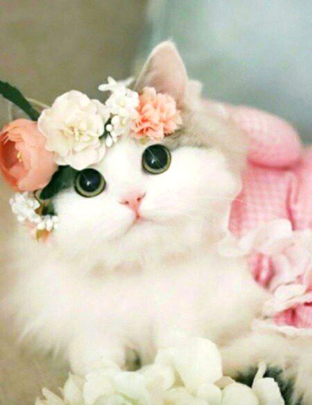 Beautiful Nature image