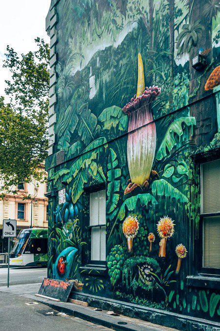 Street Art image