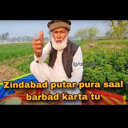 Memes & Satire image