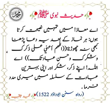 Islamic Quotes image