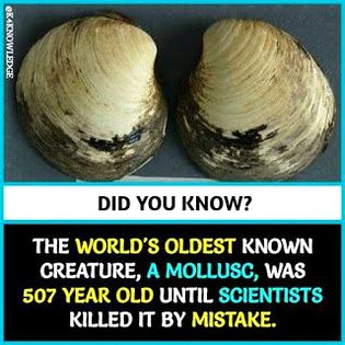 Interesting Posts image