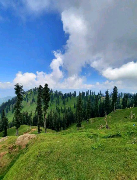 Beautiful Nature image