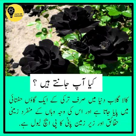 Interesting Posts image