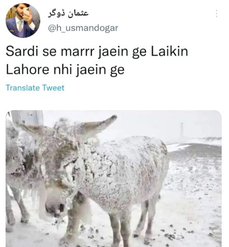 Memes & Satire image