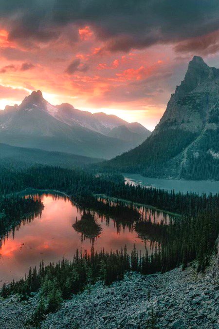 Beautiful Nature image