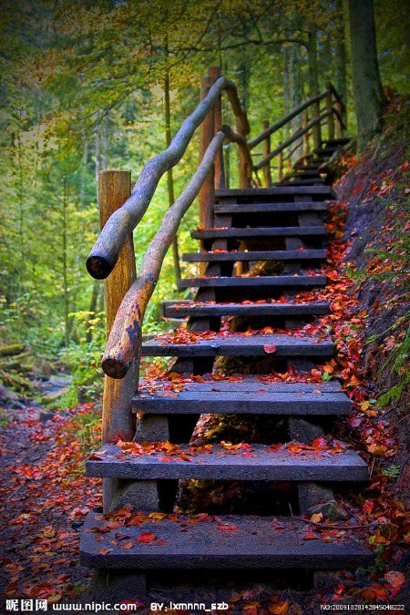 Beautiful Nature image