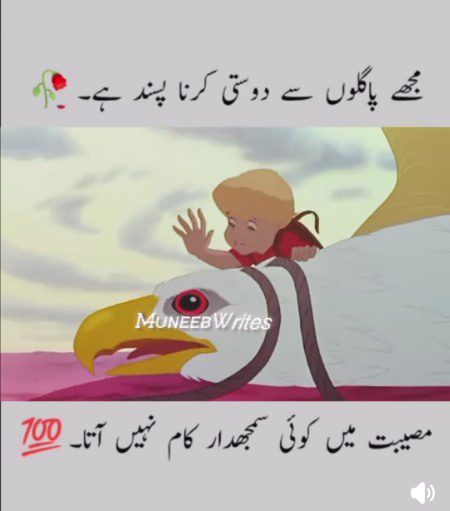 Ye dosti tery dam sy hy.