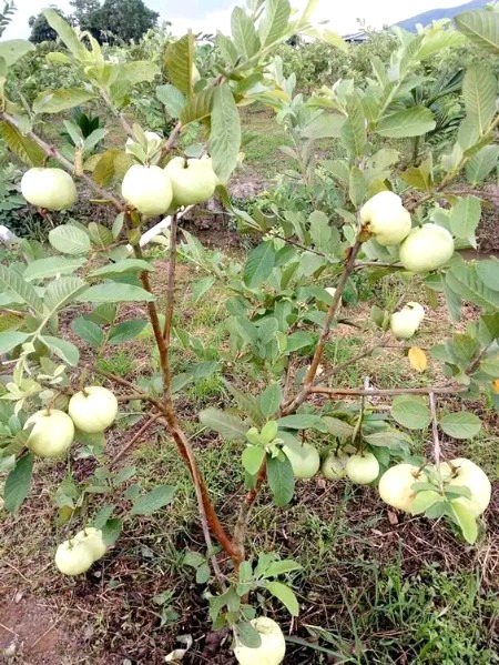 Beautiful Nature image