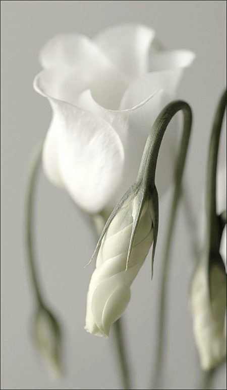 Beautiful Nature image