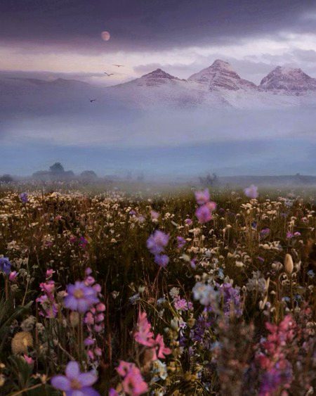 Beautiful Nature image