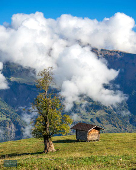 Beautiful Nature image