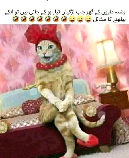 Is it true????