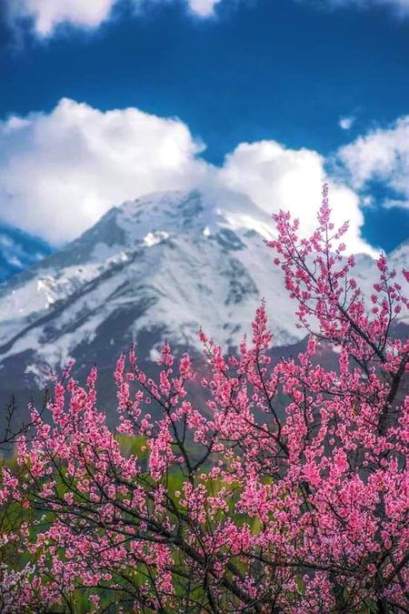 Beautiful Nature image