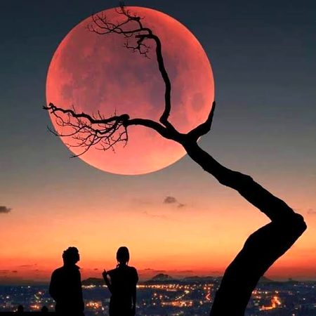 شام کتنی اداس ہے❤️🩹