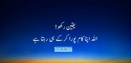 asfasdfsadcvbcxvbcxvbcv