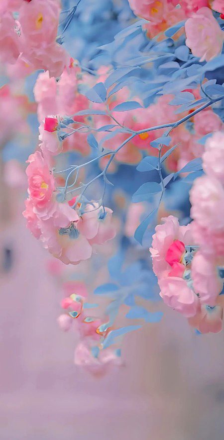 Beautiful Nature image