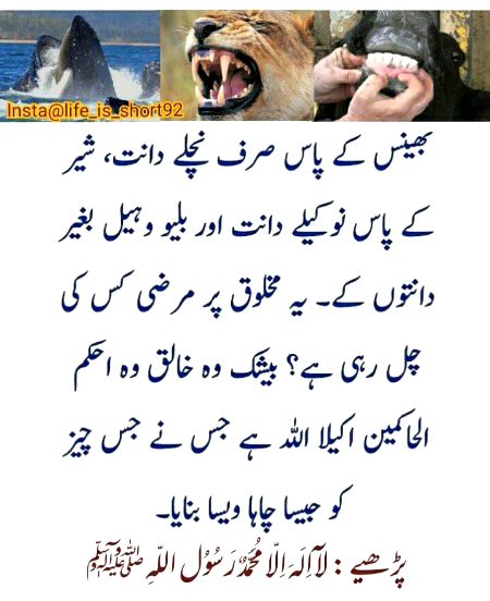 Interesting Posts image