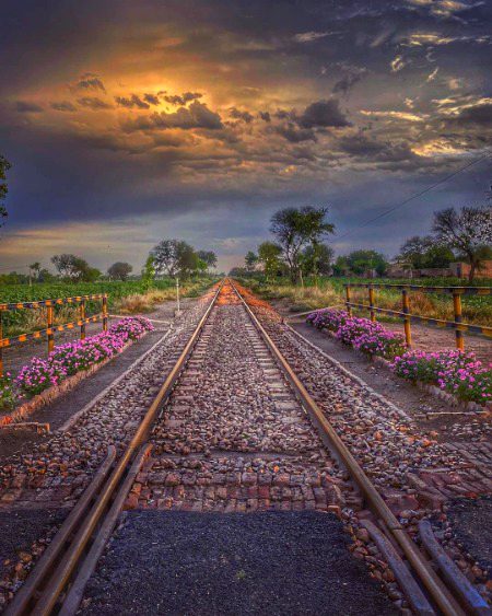 Beautiful Nature image
