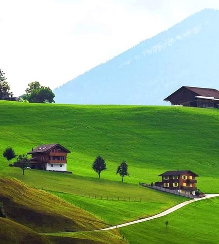 Beautiful Nature image