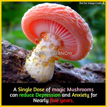 Interesting Posts image