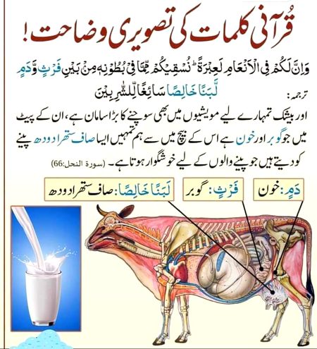Aho g ap bhi manty hen na