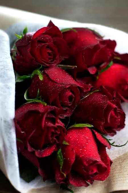 Beautiful Nature image