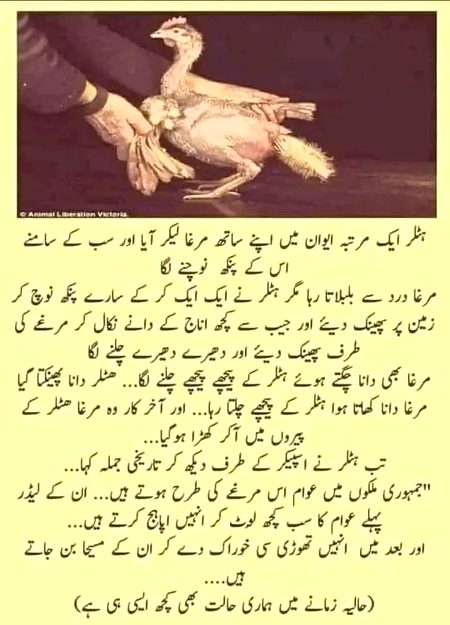 Memes & Satire image