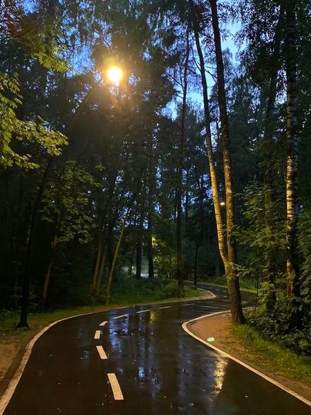 Beautiful Nature image