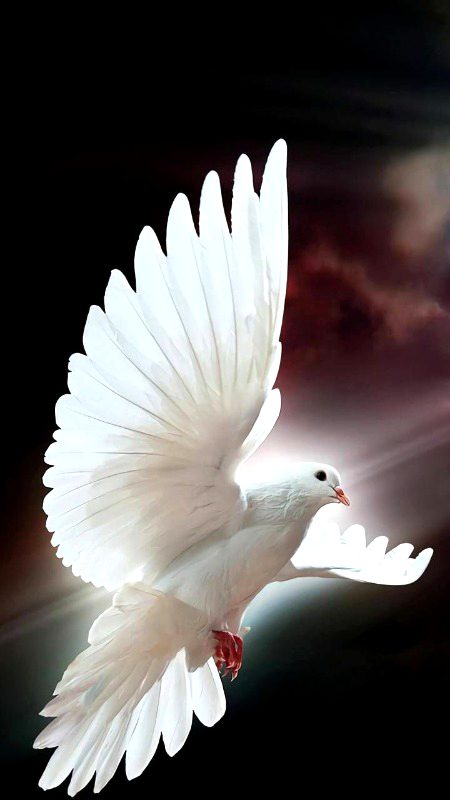 osmmm❤❤❤❤🔥🔥🔥