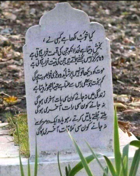 Bilkulll 😍❤❤❤❤