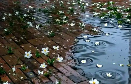 Beautiful Nature image