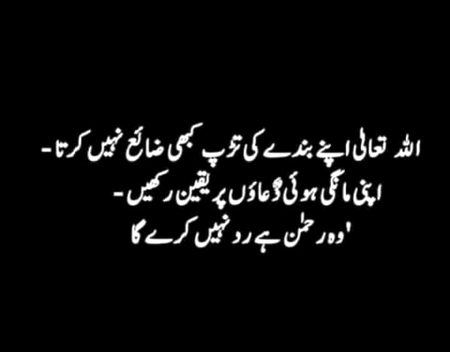 Islamic Quotes image