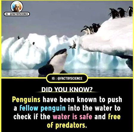 Interesting Posts image