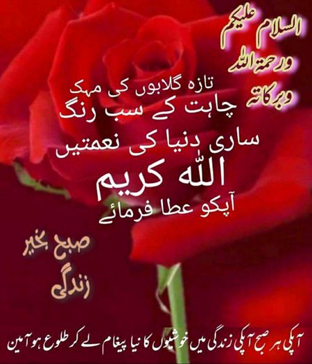 Islamic Quotes image