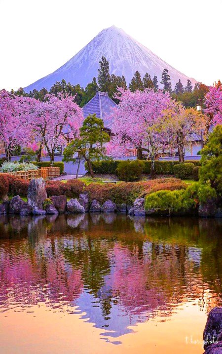 Beautiful Nature image