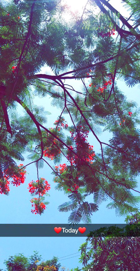 Beautiful Nature image
