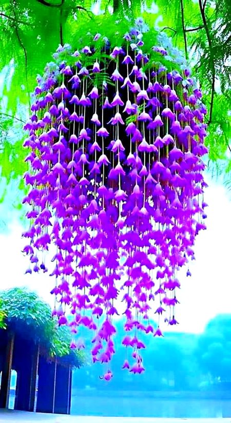 Beautiful Nature image