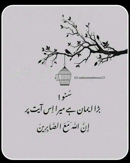 .... for me dn woc....