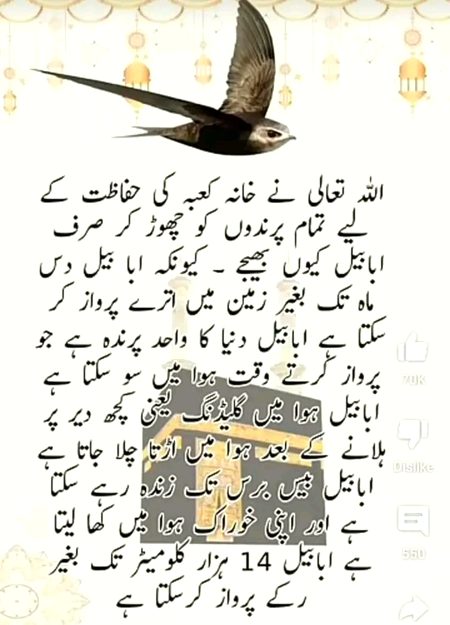 Interesting Posts image