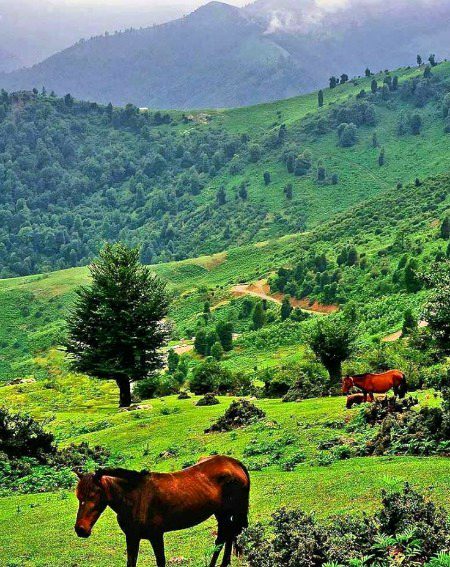 Beautiful Nature image