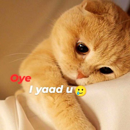 (-_-) 🥺