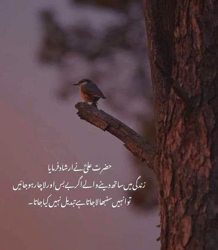 Islamic Quotes image
