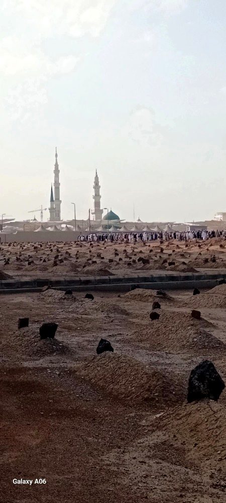 Beautiful Structures image