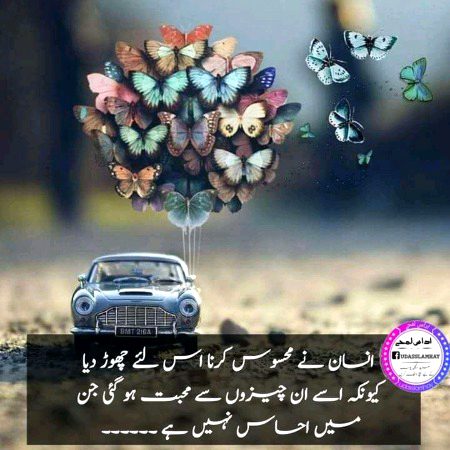 Life advise
