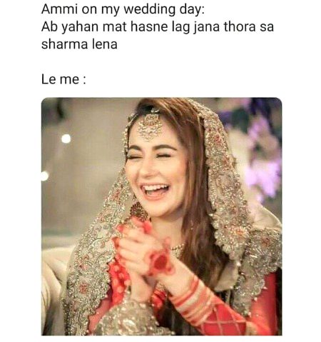 Memes & Satire image