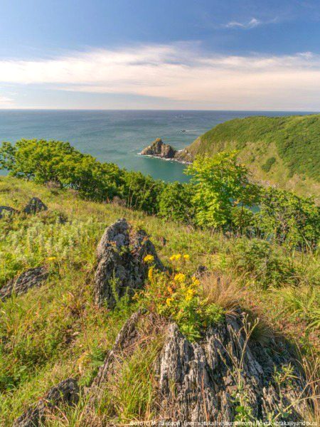 Beautiful Nature image