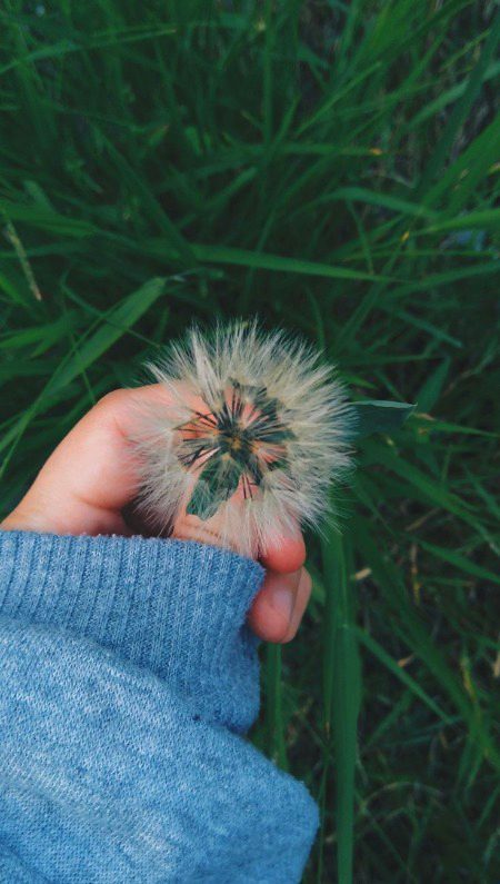 Beautiful Nature image
