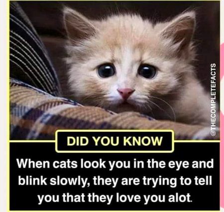 Interesting Posts image