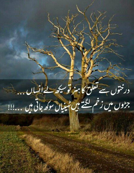 Sad Poetry image